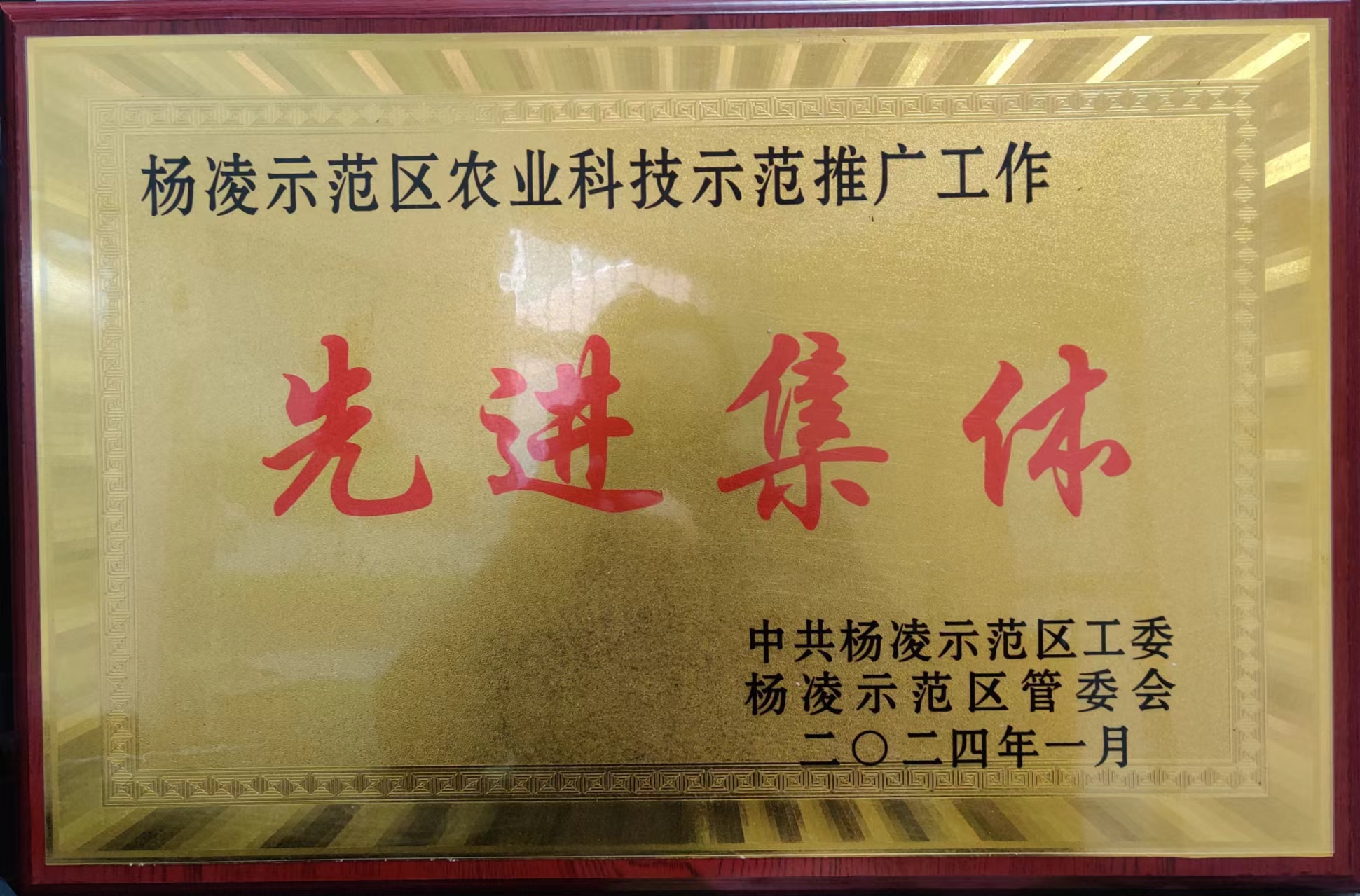 ����G����˾�s�@����ʾ���^(q��)�r�I(y��)�Ƽ��ƏV���M���w